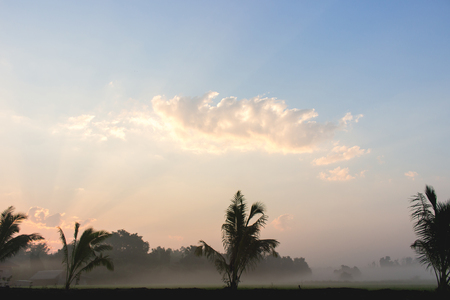 Cloud and fog and light of sunの写真素材