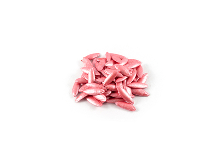pile of cucumber seeds isolated on a white backgroundの写真素材