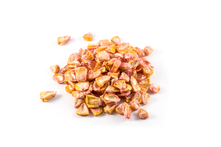 pile of sweet corn seeds isolated on a white backgroundの写真素材
