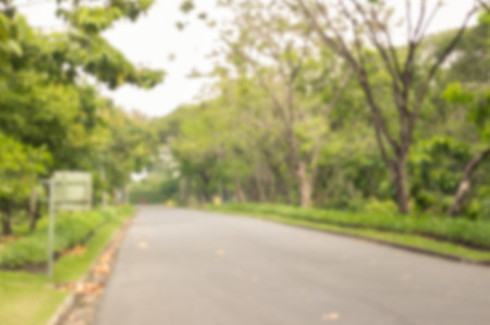 Blur of the road in the parkの写真素材