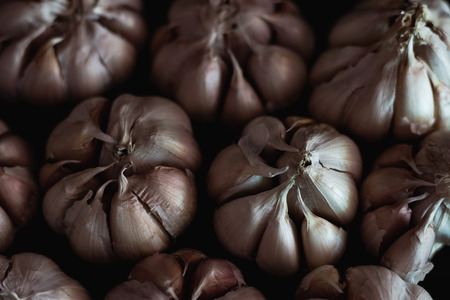 Top view of a lot of garlic in dark toneの写真素材