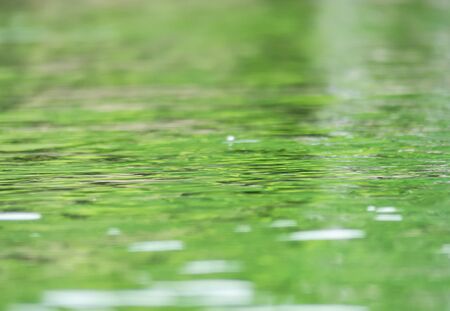The surface of the green water reflects with green leaves. Blurred the front and blurred the back.の写真素材