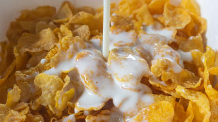 Breakfast Cereal. Toasted golden flakes of corn with milk