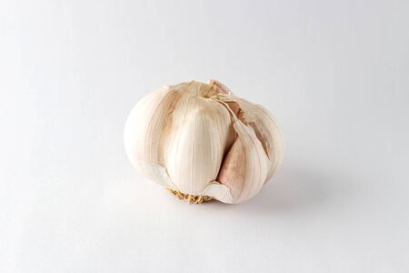 Close up garlic on white paper backgroundの写真素材