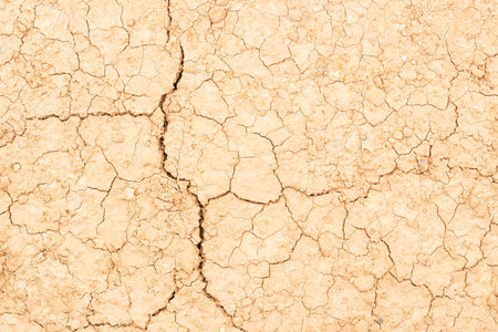 Top view of crack of dry soil
