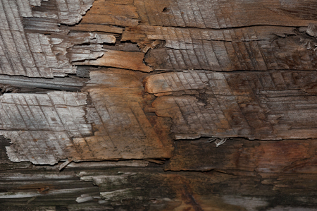 Black wood texture or wooden background with grey woodの写真素材