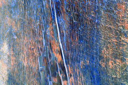Abstract dark  blue wood annual rings. Background or textureの写真素材