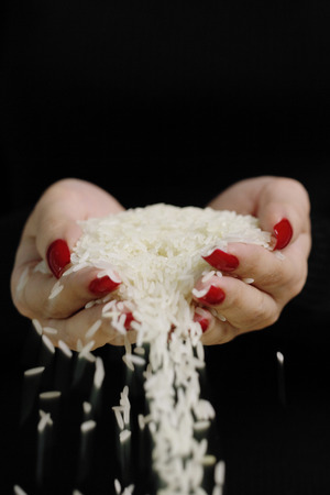 Woman holding rice in cupped handsの写真素材