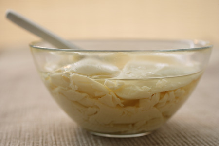 Still life of beancurd custard with syrupの写真素材