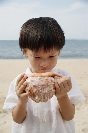 Young boy on beach looking at giant conk shellの写真素材