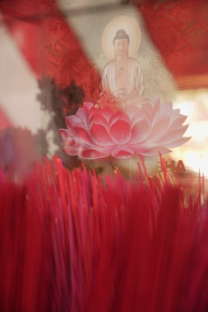 Close up of incense sticks and Buddha in lotus flowerの写真素材