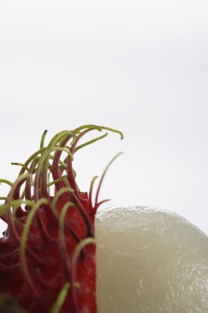 Rambutanの写真素材