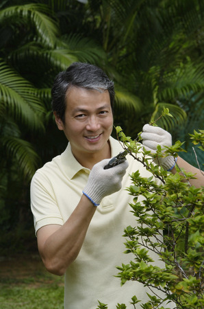 Mature man in garden, pruning plant
