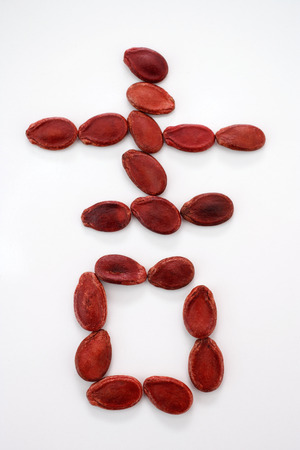 Chinese character for 'luck' formed with red melon seedsの写真素材