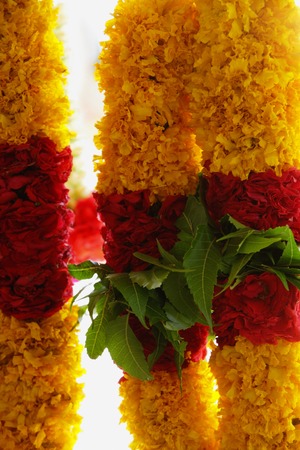 Brightly coloured flower garlandsの写真素材