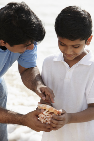 Father and son looking at sea shell together