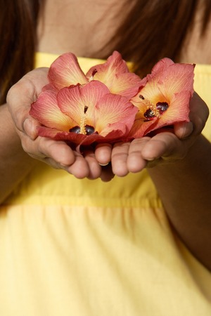 Close up of hands offering flowersの写真素材
