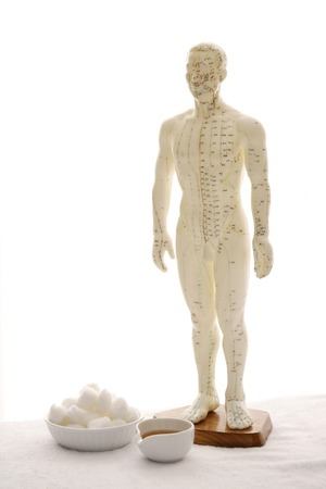 acupuncture model and toolsの写真素材