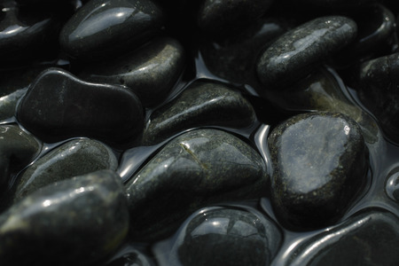 Wet rocksの写真素材