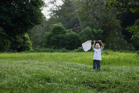 young boy chasing butterflies with netの写真素材