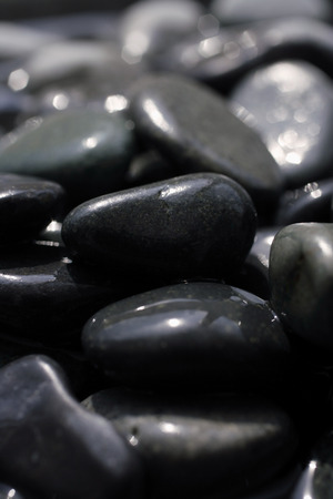 Wet rocksの写真素材