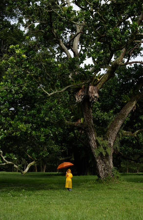 young boy holding orange umbrellaの写真素材