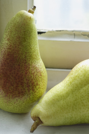 Two pears by windowの写真素材