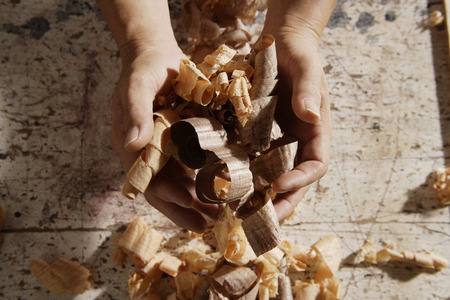 Close up of man holding wooden shavings.の写真素材