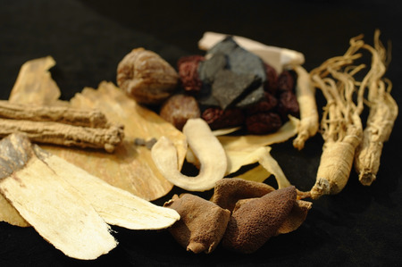 herbs used for Eastern medicinesの写真素材