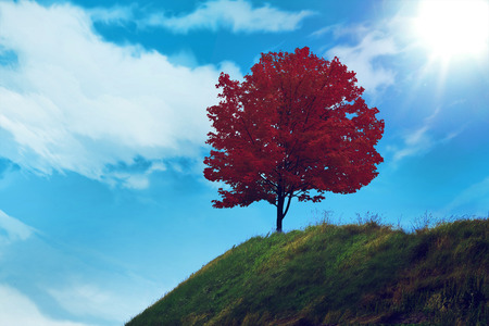 Sky cloudsの写真素材