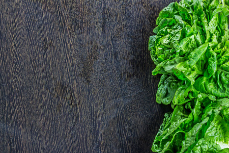 Fresh lettuce leavesの写真素材