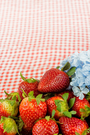 Strawberry, Fruit, Close-up, Group of Objectsの写真素材