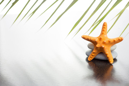 summer conceptの写真素材