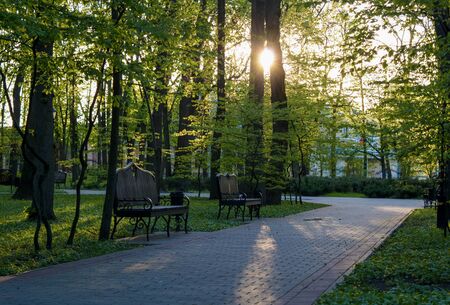 Summer parkの写真素材