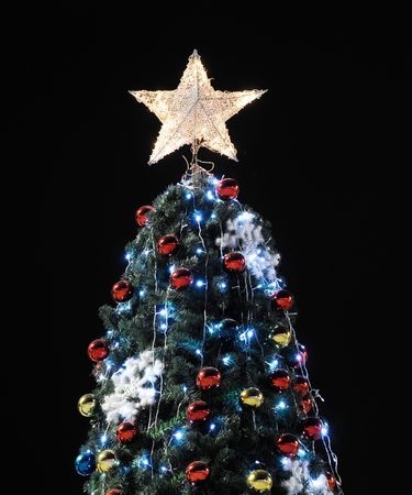Christmas Treeの写真素材
