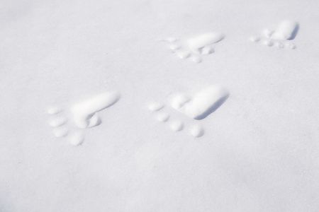 Footprints on Snowの写真素材