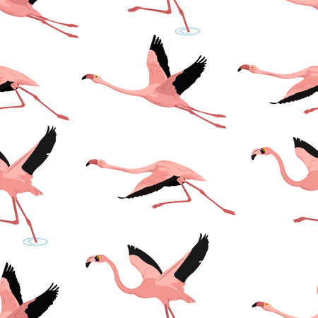 美しい鳥の写真 イラスト素材一覧 6 471件 ストックフォトのamanaimages Plus