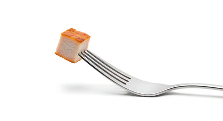Fork with a piece of smoked salmon on a white background.の写真素材