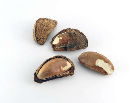 Brazil nut rich in antioxidants