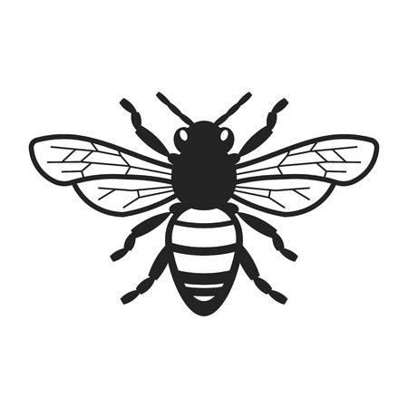 Honey Bee Illustrationのイラスト素材