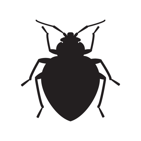 Bedbug insect silhouette illustration.のイラスト素材