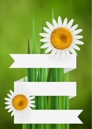 Flower bacgkround with ribbon and daisy, empty space for textのイラスト素材