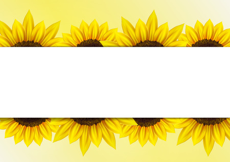 Sunflower background for image and textのイラスト素材