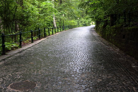 Cobblestoned alley going up the hill through the forestの写真素材