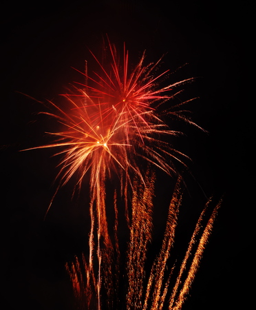 Orange-red fireworks looking like flowers, at national celebrationの写真素材