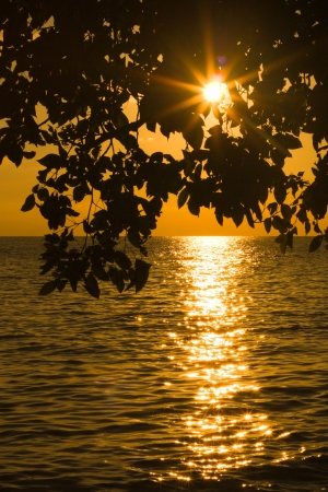 Sunset on a sunny day on a beachの写真素材