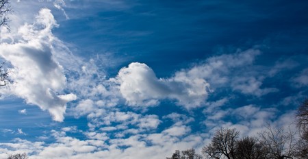 blue sky with beautiful clouds, trees horizon