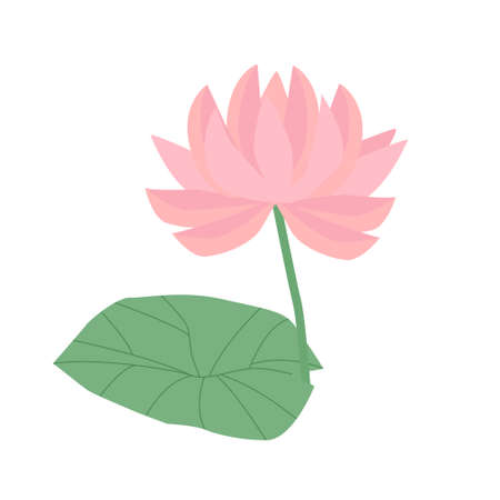 Isolated flat simple water lily, pink lotus with leaf. Water flower, decorative floral element. Vector illustration EPSのイラスト素材