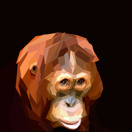 sad faced ape orangutan on dark backgroundのイラスト素材