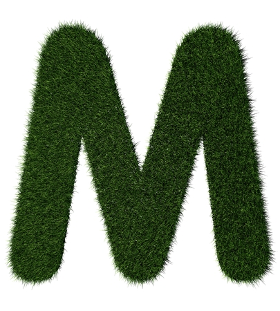 Letter M made with blades of grassの写真素材
